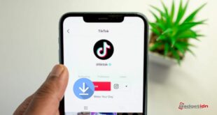 cara download tiktok tanpa watermark secara online