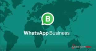 Fitu dan Keunggulan Whatsapp Business
