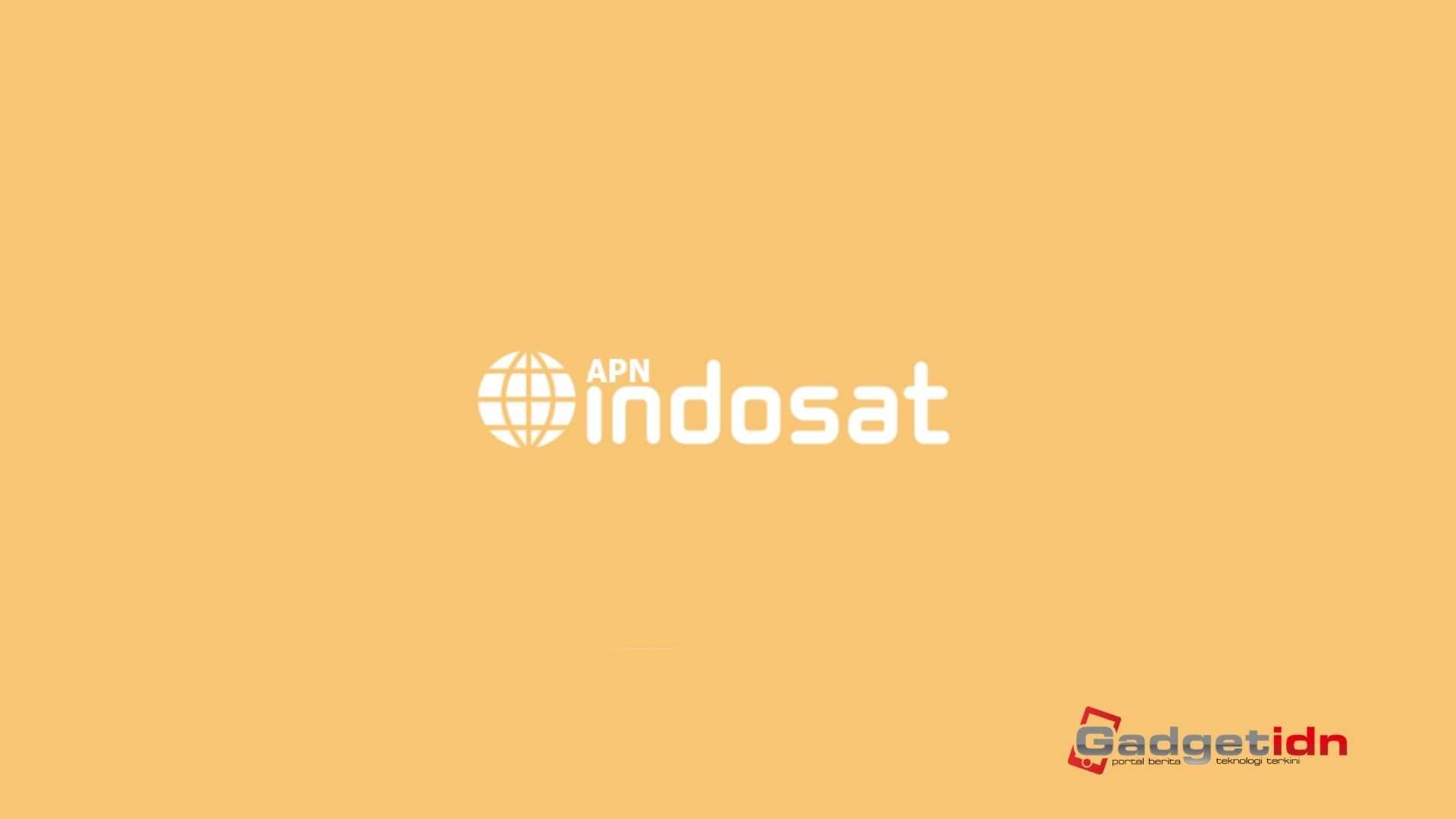 apn indosat